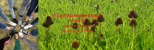 гашиш Баксан